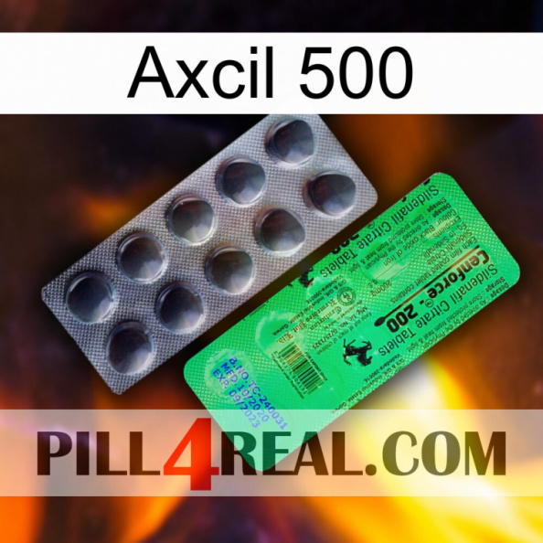 Axcil 500 new04.jpg